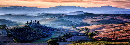 1729473 (a): :5000x1736
